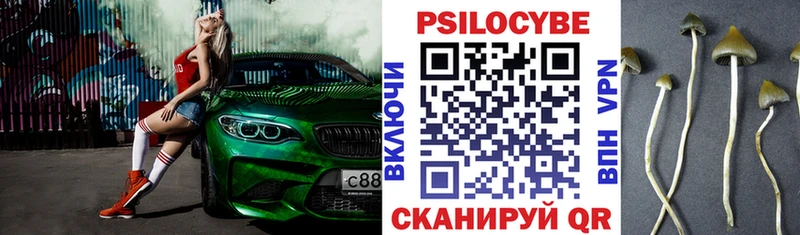 Псилоцибиновые грибы Magic Shrooms  Тулун 